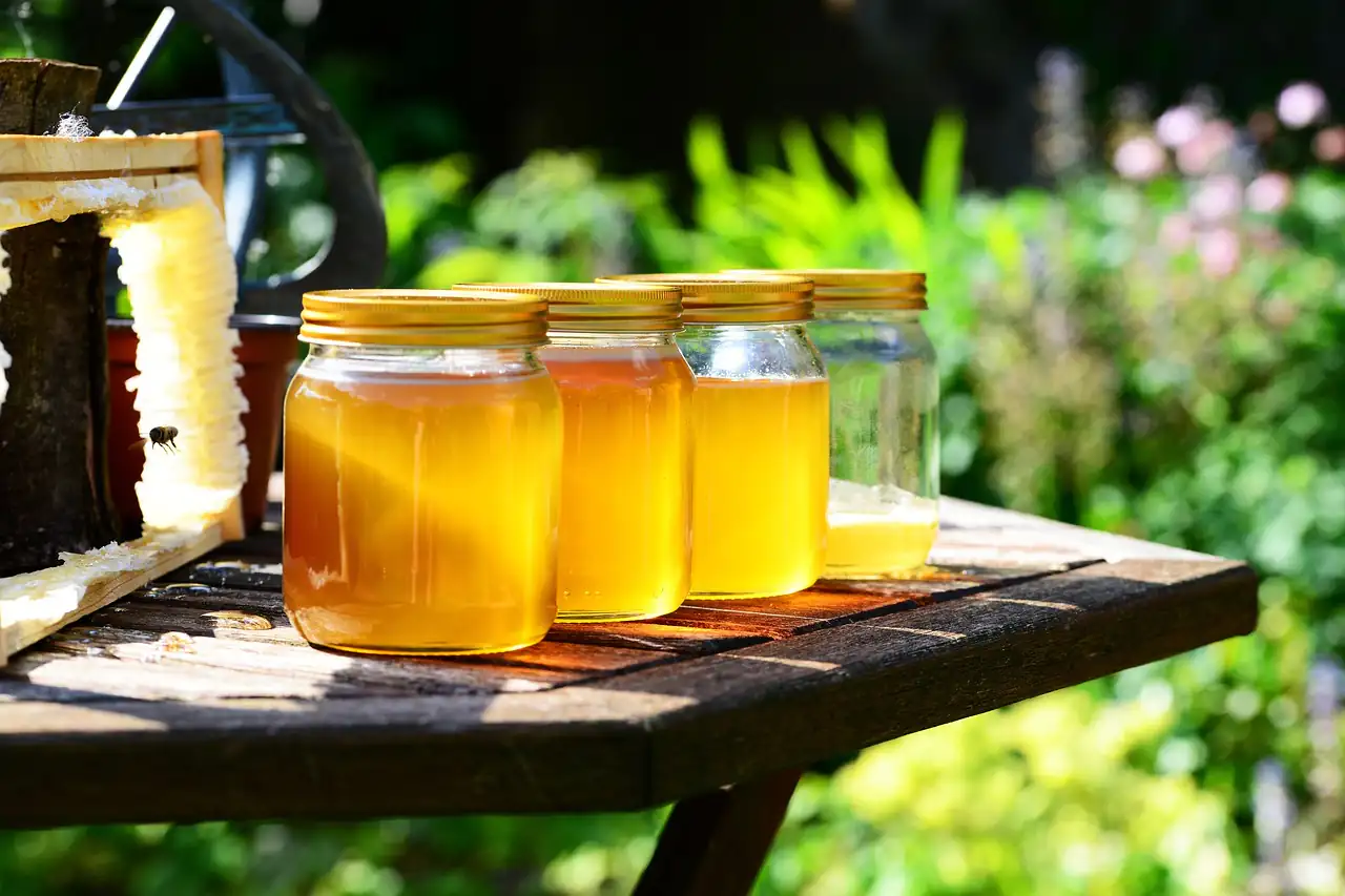 Jars of honey lined up on a table outdoors
