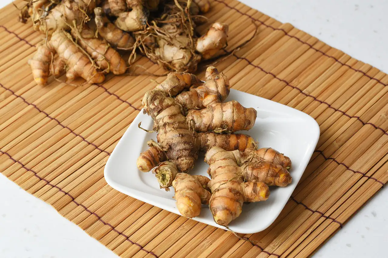 Dried turmeric roots on a plate