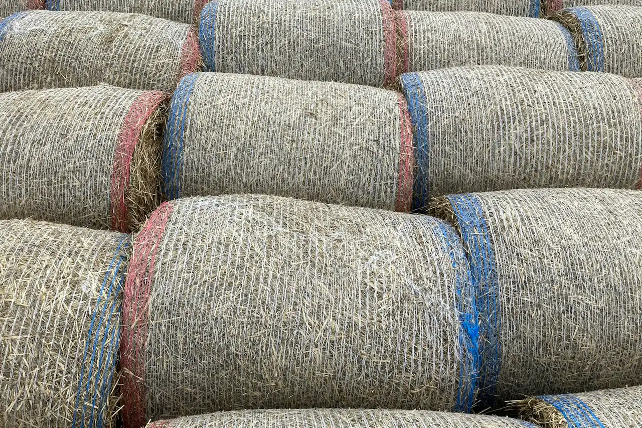 Bales of cotton stacked in a store