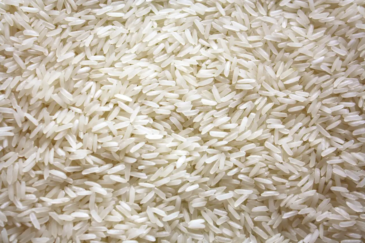Long grains of uncooked basmati rice