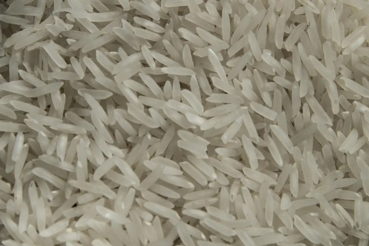 Long grains of white rice