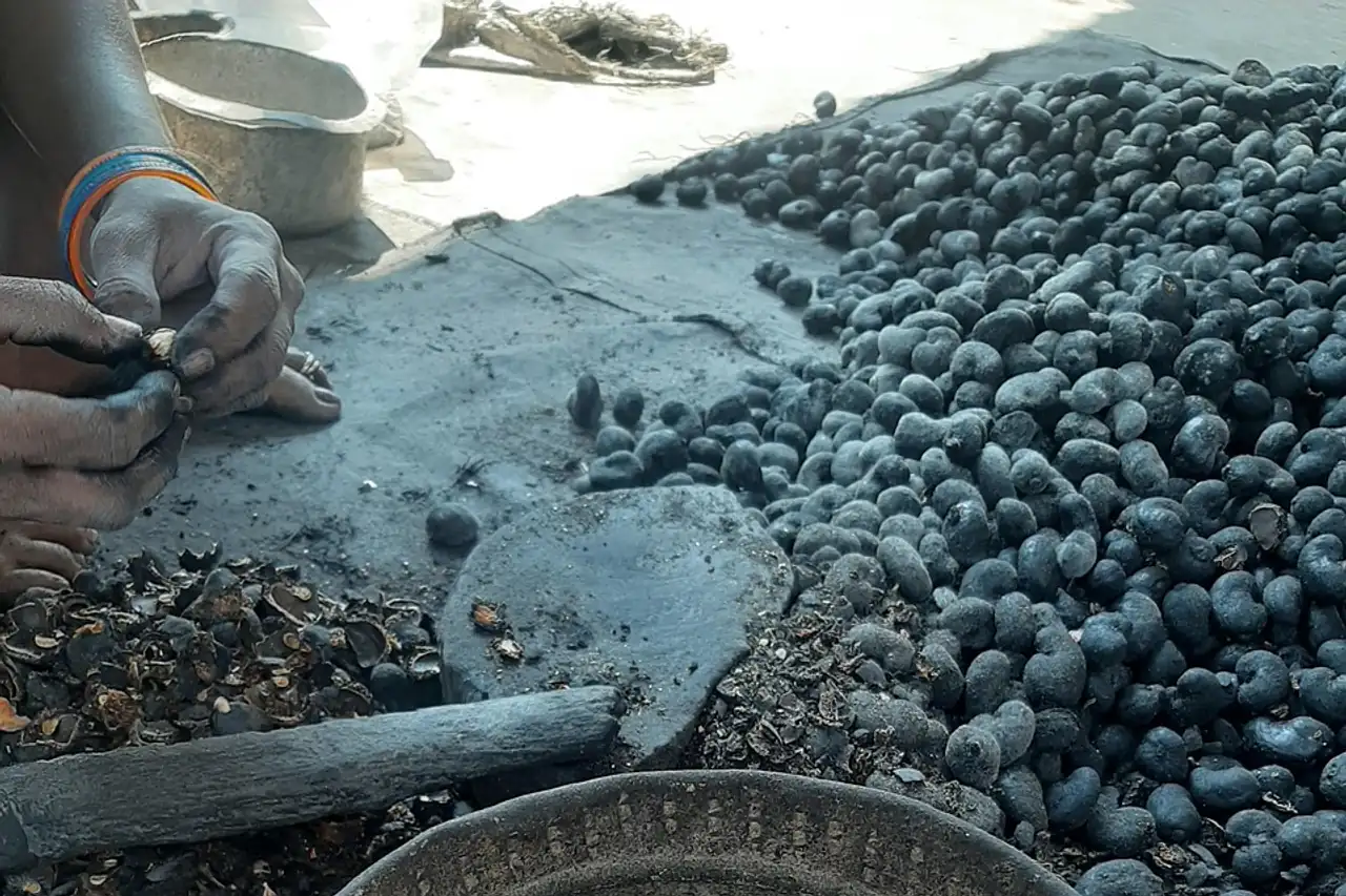 Raw cashew nuts in a metal pan