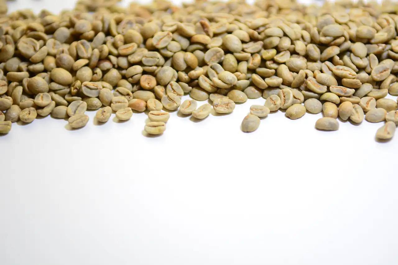 Green unroasted coffee beans