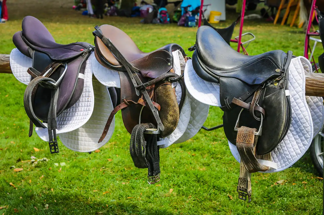Saddles on stands outdoors