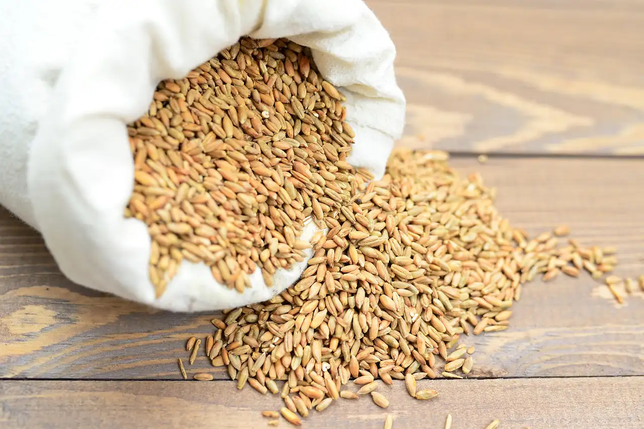Seeds spilling from a cloth sack