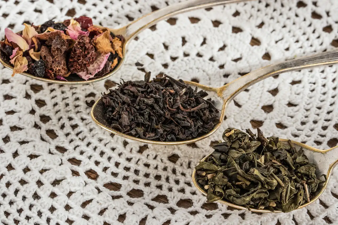 Spoons of loose leaf tea