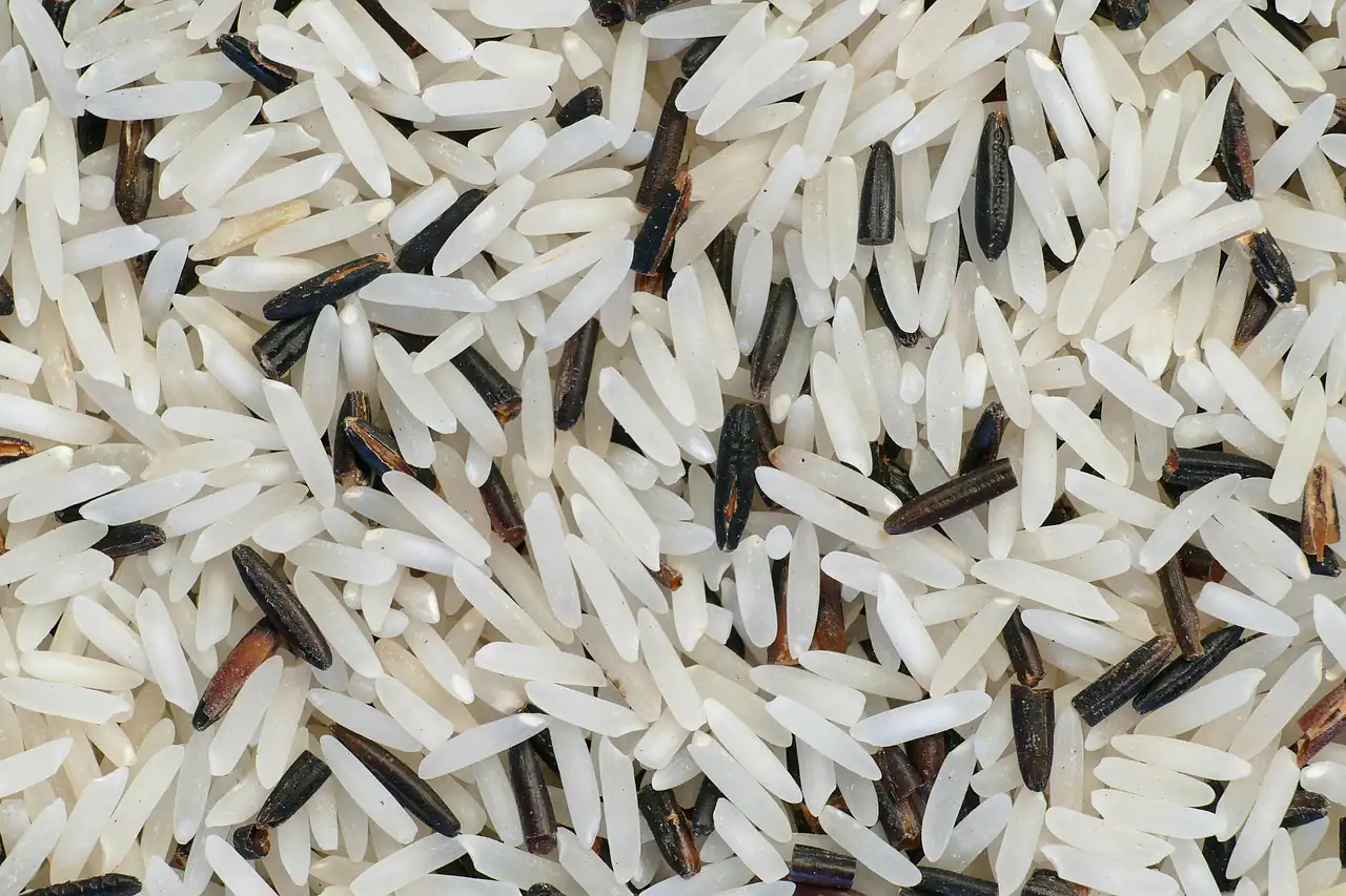 Long-grain rice close up