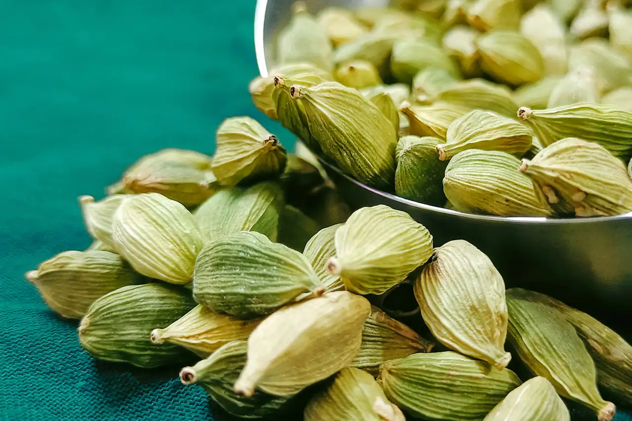 Green cardamom pods