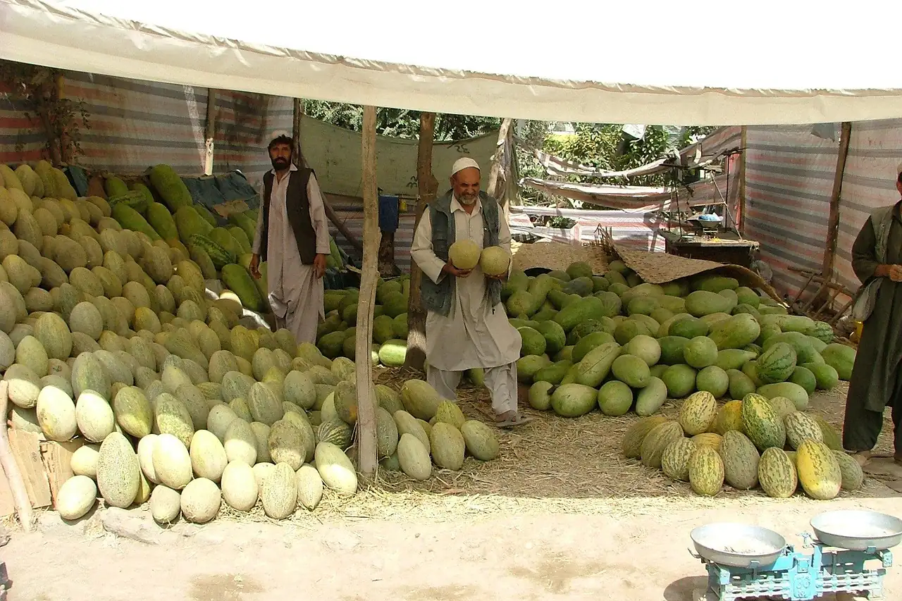 Melons heaped at an open-air market stall