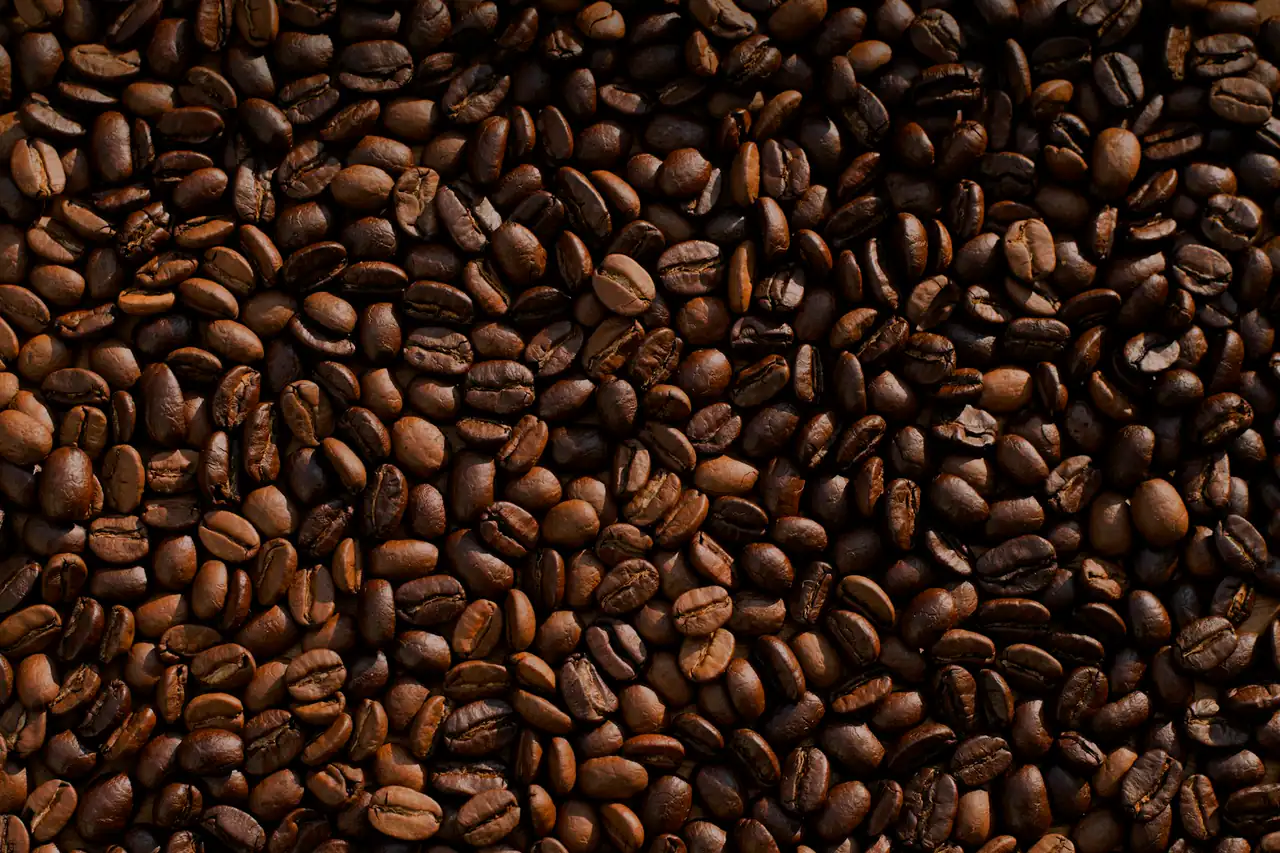 Roasted coffee beans