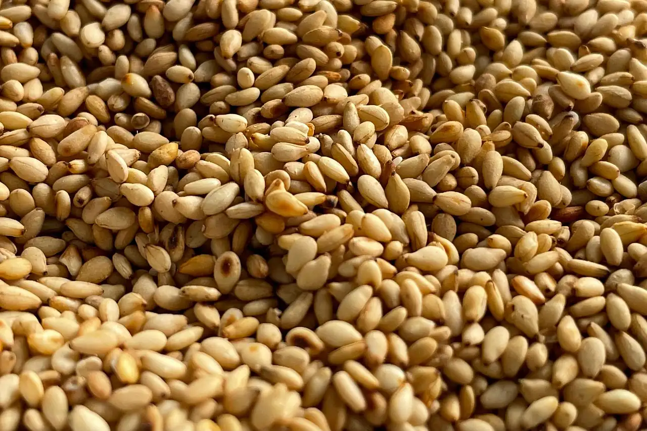 Sesame seeds close up