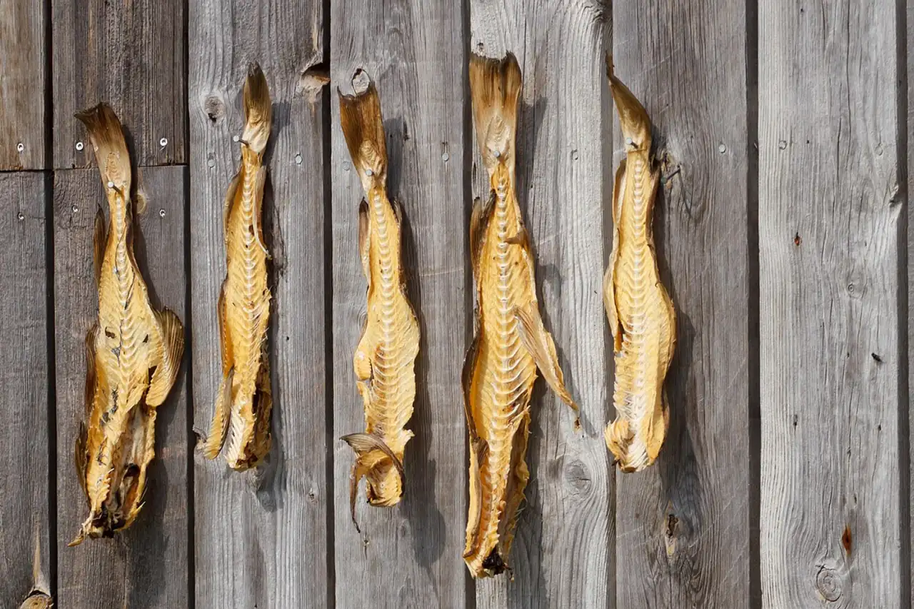 Fish hung to dry on a wooden wall