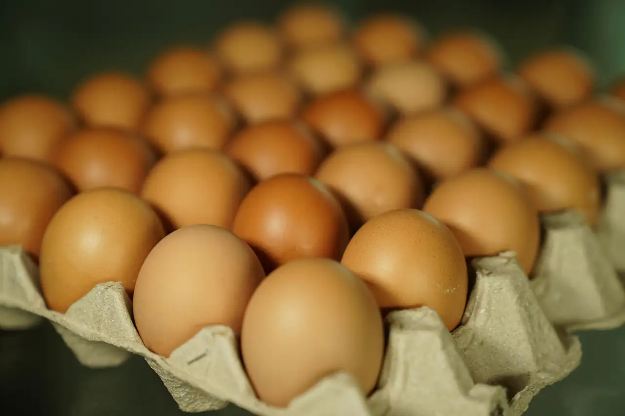 Brown eggs in a cardboard tray
