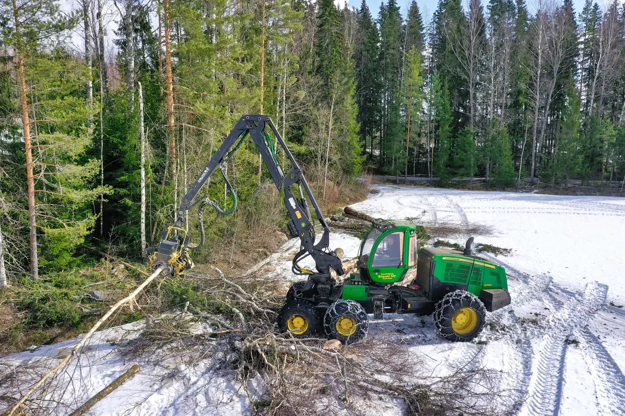 A harvester working in a pine forest